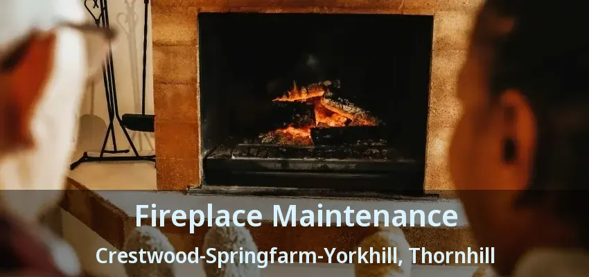 Fireplace Maintenance Crestwood-Springfarm-Yorkhill, Thornhill - ON Fireplace Maintenance Crestwood-Springfarm-Yorkhill, Thornhill - ON