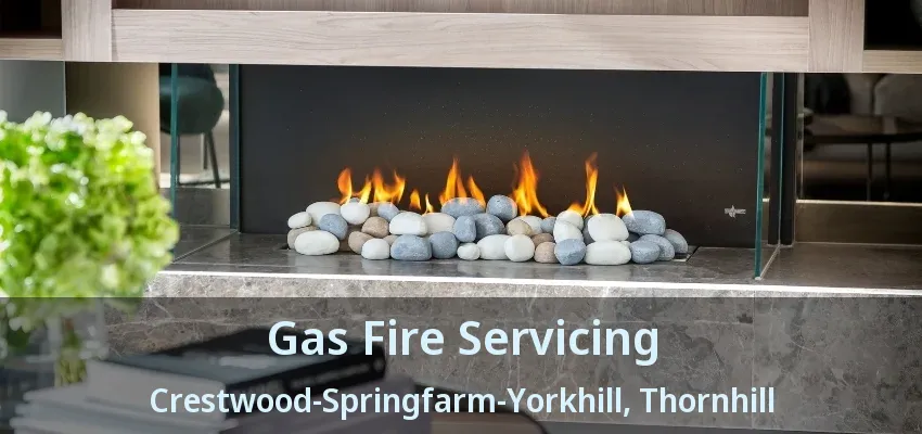 Gas Fire Servicing Crestwood-Springfarm-Yorkhill, Thornhill - ON Gas Fire Servicing Crestwood-Springfarm-Yorkhill, Thornhill - ON