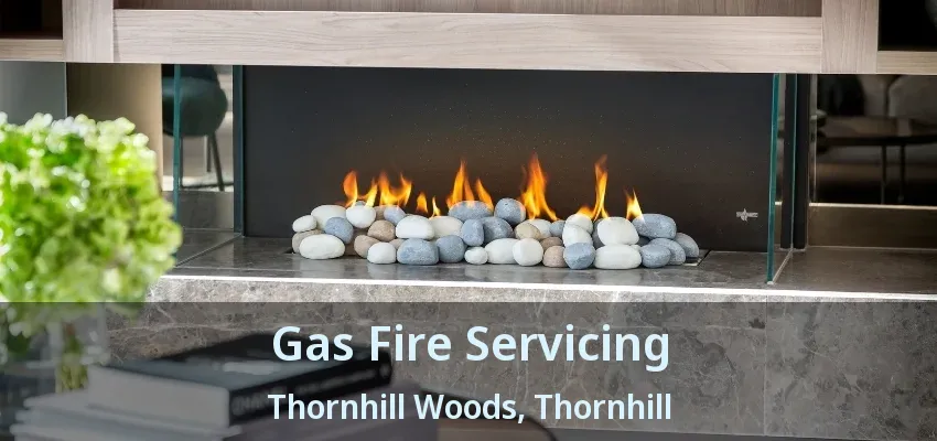 Gas Fire Servicing Thornhill Woods, Thornhill - ON Gas Fire Servicing Thornhill Woods, Thornhill - ON