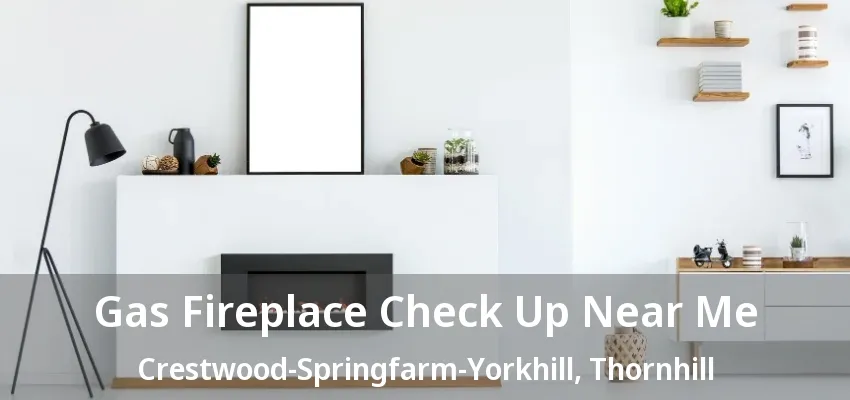 Gas Fireplace Check Up Near Me Crestwood-Springfarm-Yorkhill, Thornhill - ON