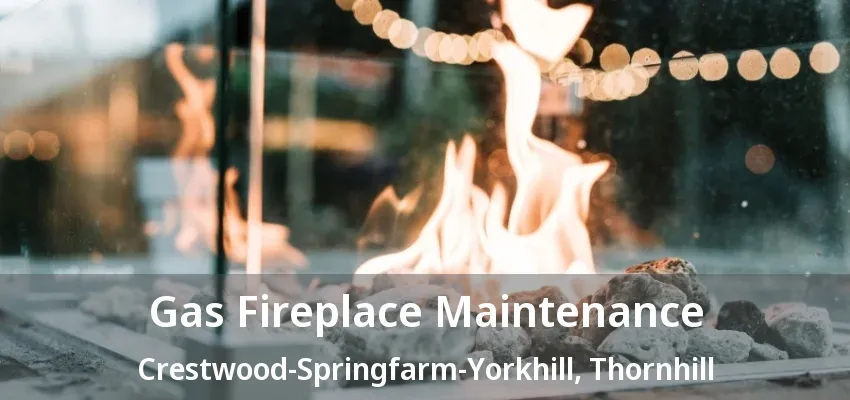 Gas Fireplace Maintenance Crestwood-Springfarm-Yorkhill, Thornhill - ON Gas Fireplace Maintenance Crestwood-Springfarm-Yorkhill, Thornhill - ON