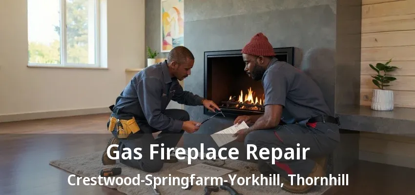 Gas Fireplace Repair Crestwood-Springfarm-Yorkhill, Thornhill - ON
