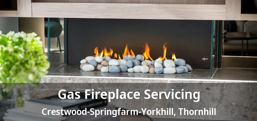 Gas Fireplace Servicing Crestwood-Springfarm-Yorkhill, Thornhill - ON Gas Fireplace Servicing Crestwood-Springfarm-Yorkhill, Thornhill - ON