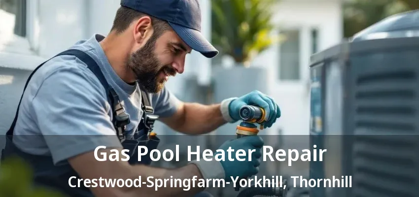Gas Pool Heater Repair Crestwood-Springfarm-Yorkhill, Thornhill - ON