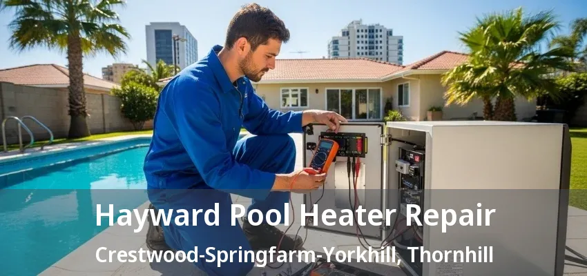 Hayward Pool Heater Repair Crestwood-Springfarm-Yorkhill, Thornhill - ON