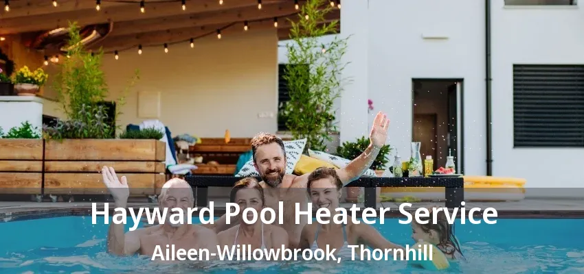 Hayward Pool Heater Service Aileen-Willowbrook, Thornhill - ON