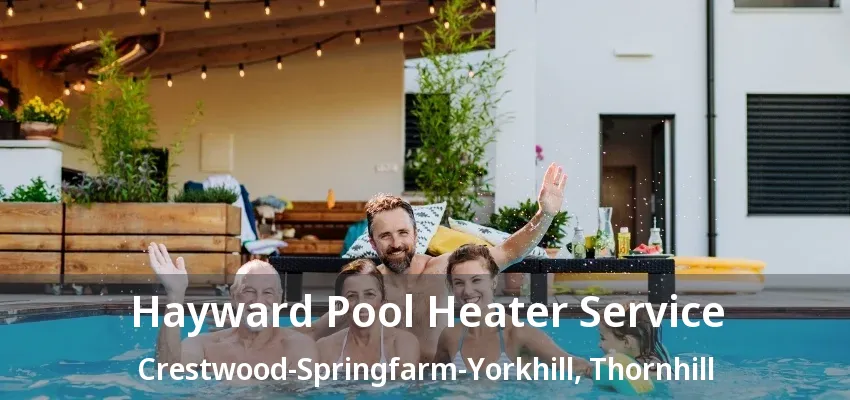 Hayward Pool Heater Service Crestwood-Springfarm-Yorkhill, Thornhill - ON