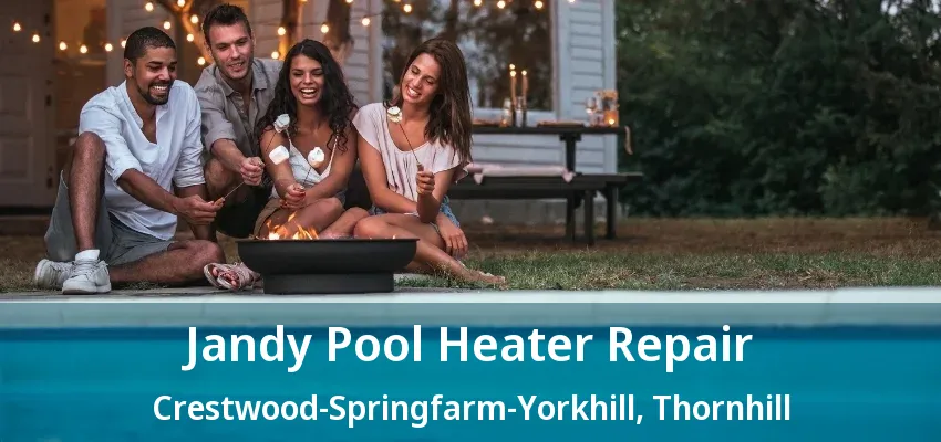Jandy Pool Heater Repair Crestwood-Springfarm-Yorkhill, Thornhill - ON
