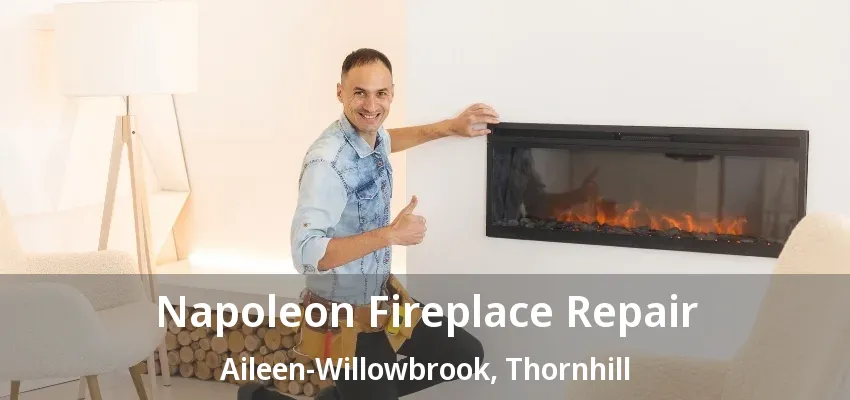 Napoleon Fireplace Repair Aileen-Willowbrook, Thornhill - ON