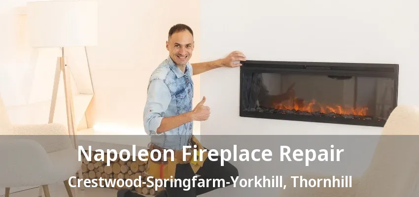 Napoleon Fireplace Repair Crestwood-Springfarm-Yorkhill, Thornhill - ON