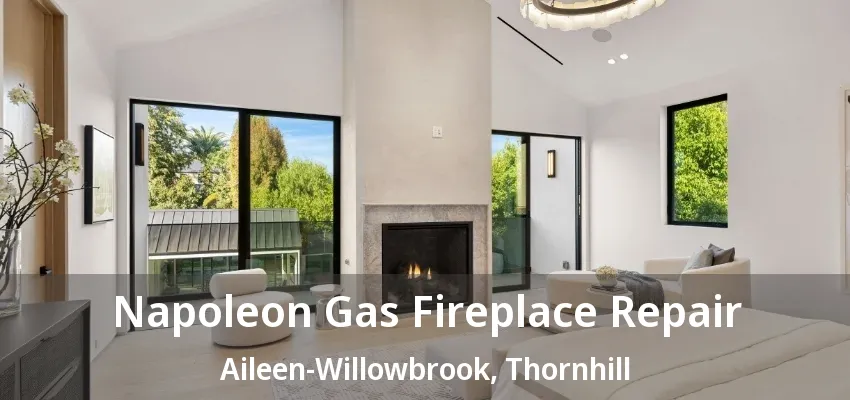 Napoleon Gas Fireplace Repair Aileen-Willowbrook, Thornhill - ON Napoleon Gas Fireplace Repair Aileen-Willowbrook, Thornhill - ON