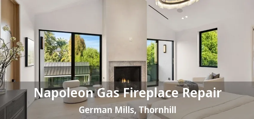 Napoleon Gas Fireplace Repair German Mills, Thornhill - ON