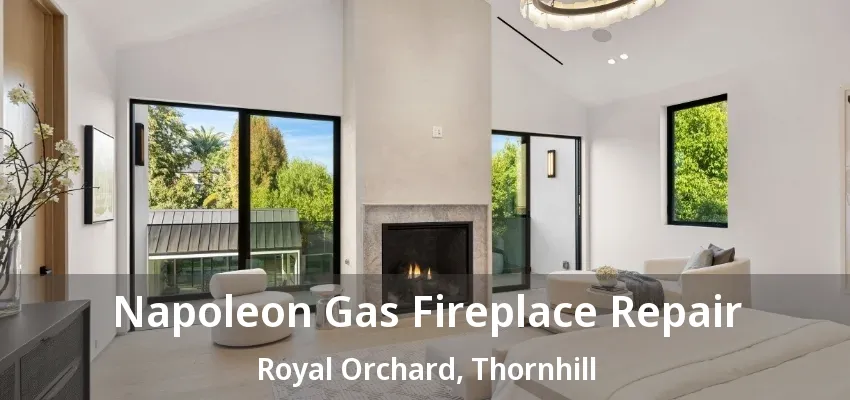 Napoleon Gas Fireplace Repair Royal Orchard, Thornhill - ON