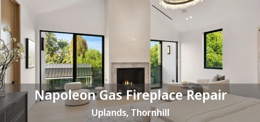 Napoleon Gas Fireplace Repair Uplands, Thornhill - ON
