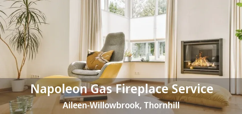 Napoleon Gas Fireplace Service Aileen-Willowbrook, Thornhill - ON Napoleon Gas Fireplace Service Aileen-Willowbrook, Thornhill - ON
