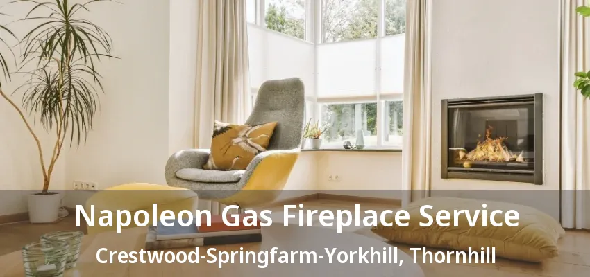 Napoleon Gas Fireplace Service Crestwood-Springfarm-Yorkhill, Thornhill - ON