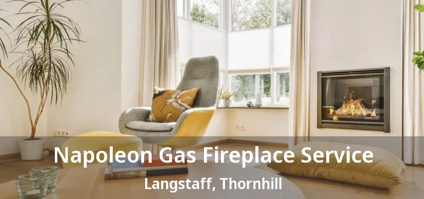 Napoleon Gas Fireplace Service Langstaff, Thornhill - ON