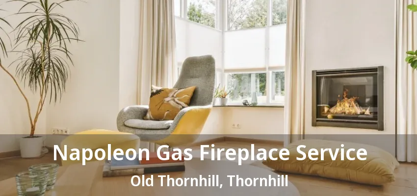 Napoleon Gas Fireplace Service Old Thornhill, Thornhill - ON