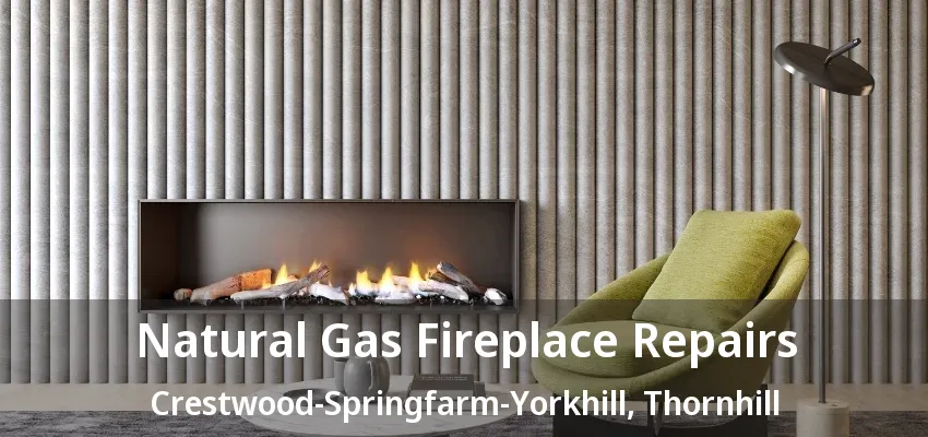Natural Gas Fireplace Repairs Crestwood-Springfarm-Yorkhill, Thornhill - ON