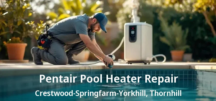 Pentair Pool Heater Repair Crestwood-Springfarm-Yorkhill, Thornhill - ON