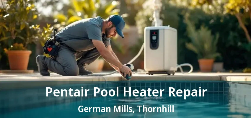 Pentair Pool Heater Repair German Mills, Thornhill - ON Pentair Pool Heater Repair German Mills, Thornhill - ON