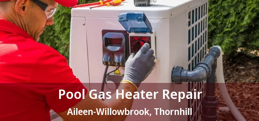 Pool Gas Heater Repair Aileen-Willowbrook, Thornhill - ON