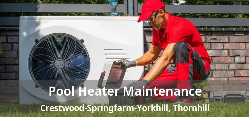 Pool Heater Maintenance Crestwood-Springfarm-Yorkhill, Thornhill - ON Pool Heater Maintenance Crestwood-Springfarm-Yorkhill, Thornhill - ON