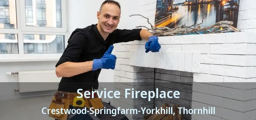 Service Fireplace Crestwood-Springfarm-Yorkhill, Thornhill - ON Service Fireplace Crestwood-Springfarm-Yorkhill, Thornhill - ON