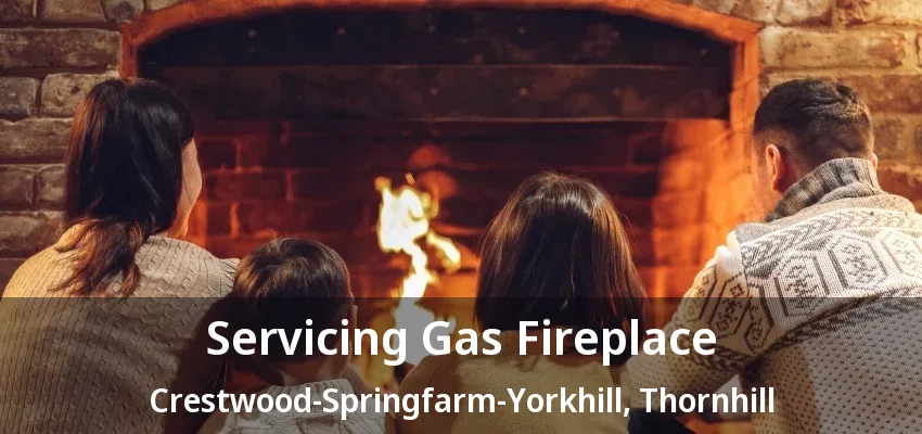 Servicing Gas Fireplace Crestwood-Springfarm-Yorkhill, Thornhill - ON Servicing Gas Fireplace Crestwood-Springfarm-Yorkhill, Thornhill - ON