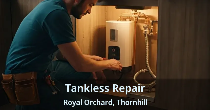 Tankless Repair Royal Orchard, Thornhill - ON