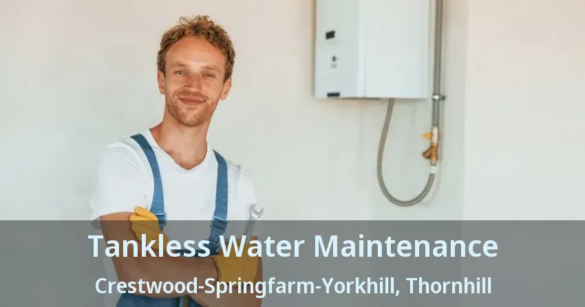 Tankless Water Maintenance Crestwood-Springfarm-Yorkhill, Thornhill - ON Tankless Water Maintenance Crestwood-Springfarm-Yorkhill, Thornhill - ON