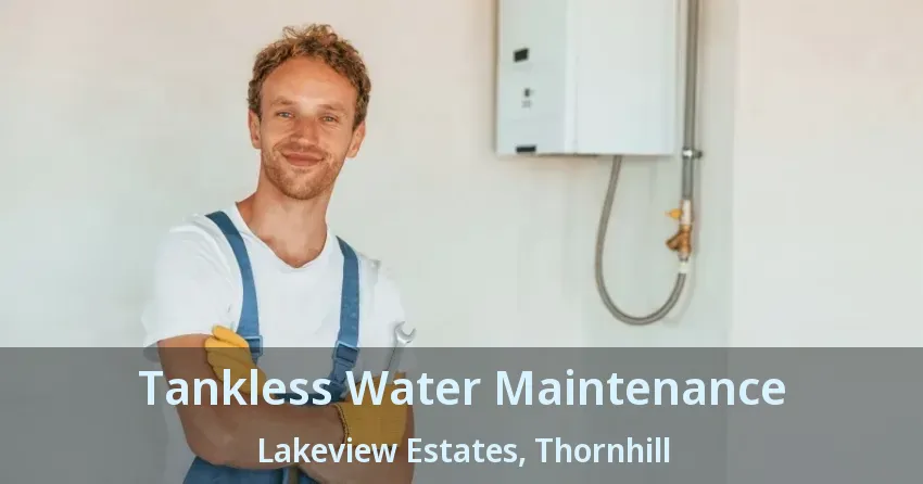 Tankless Water Maintenance Lakeview Estates, Thornhill - ON Tankless Water Maintenance Lakeview Estates, Thornhill - ON