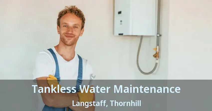 Tankless Water Maintenance Langstaff, Thornhill - ON