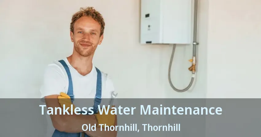 Tankless Water Maintenance Old Thornhill, Thornhill - ON Tankless Water Maintenance Old Thornhill, Thornhill - ON