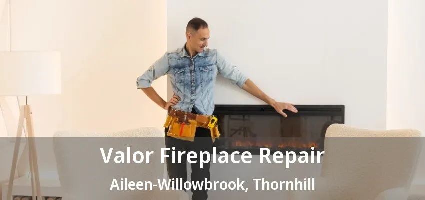 Valor Fireplace Repair Aileen-Willowbrook, Thornhill - ON